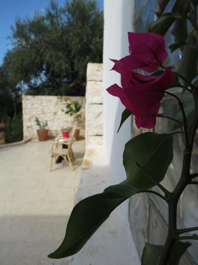 Casa Ale & Vinci Vila Monopoli Exterior foto