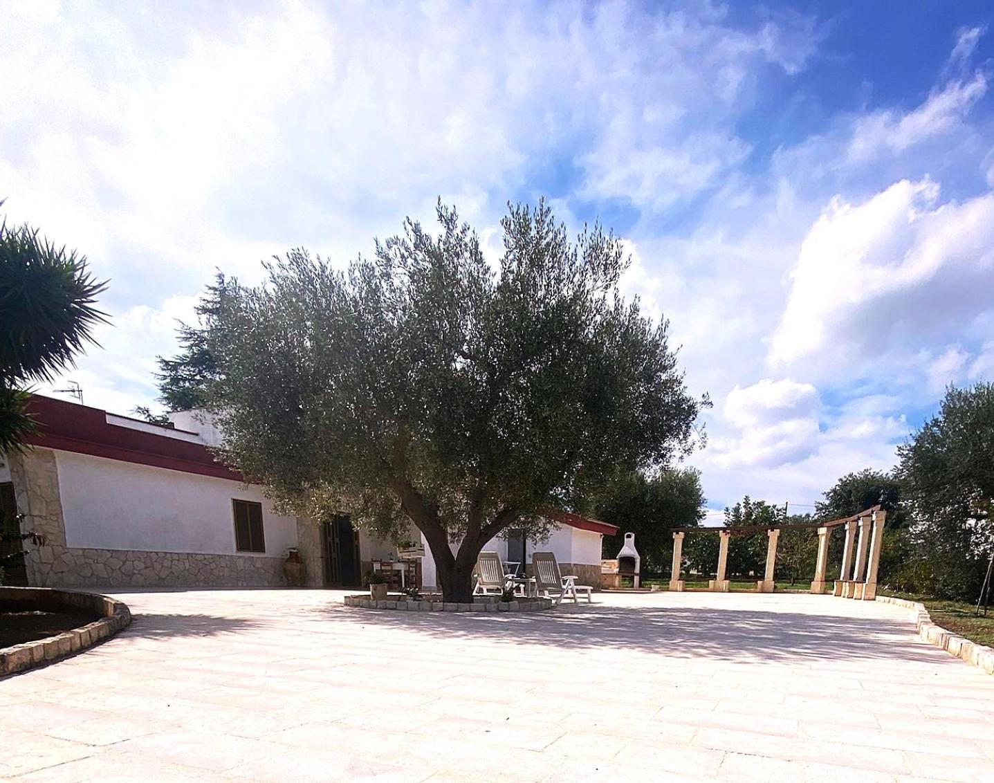 Casa Ale & Vinci Vila Monopoli Exterior foto